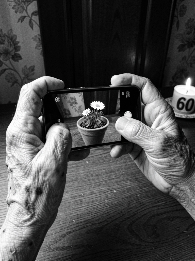 Mãos segurando smartphone para fotografar uma flor em um jardim.
